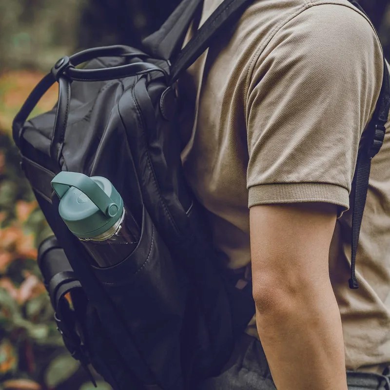 Γυάλινο μπουκάλι τσαγιού με εγχυτήρα Buydeem CD1008-PP, 325 ml, Ρυθμιζόμενο ζέσταμα, Λαβή, Μωβ