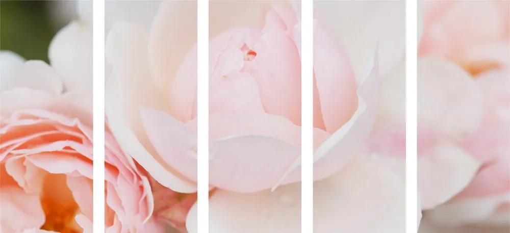5 μέρη εικόνα στίγματα τριαντάφυλλα