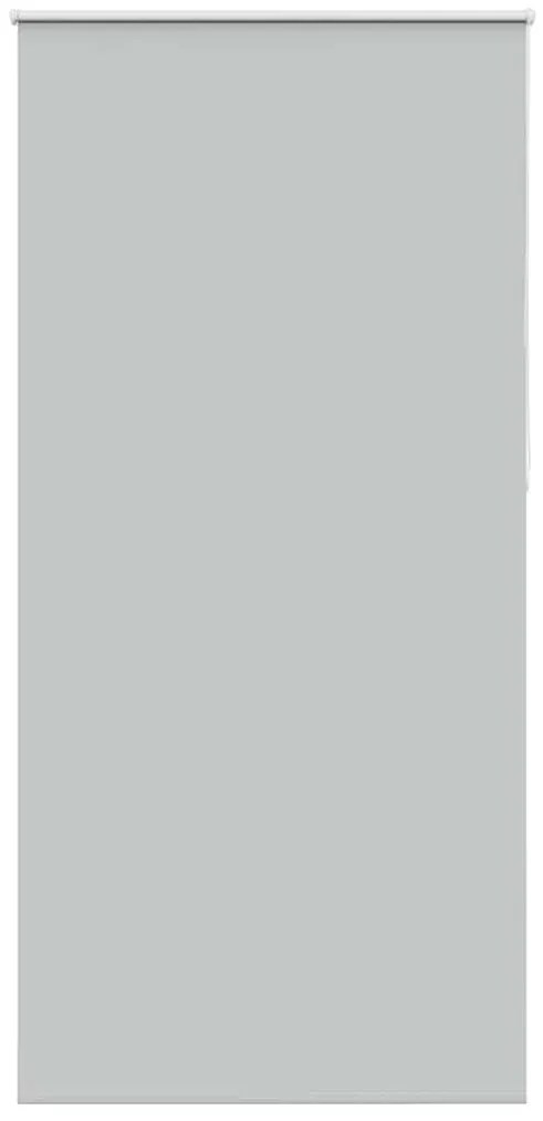 vidaXL Ρολέρ Μπλακάουτ ανοιχτό γκρι 110x210 cm Πλάτος υφάσματος