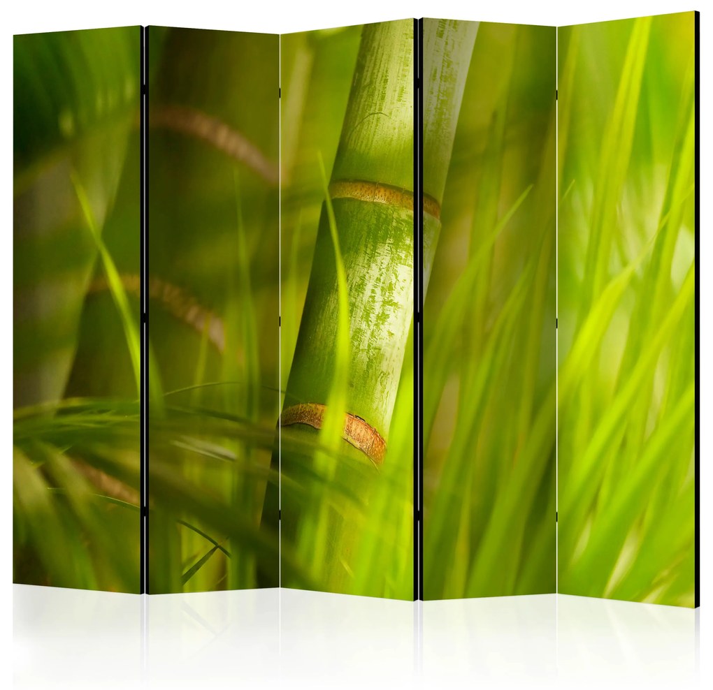 Διαχωριστικό με 5 τμήματα - bamboo - nature zen II [Room Dividers]