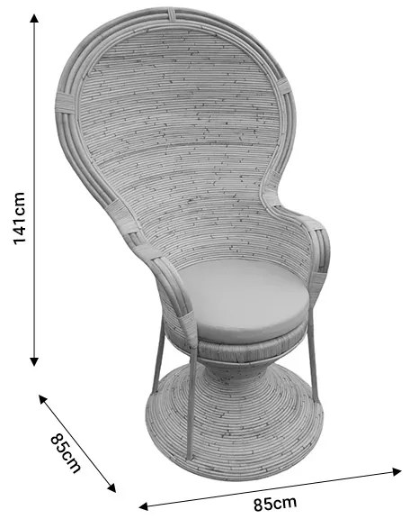 Πολυθρόνα Rea Inart με μπεζ μαξιλάρι-φυσικό rattan 85x85x141εκ