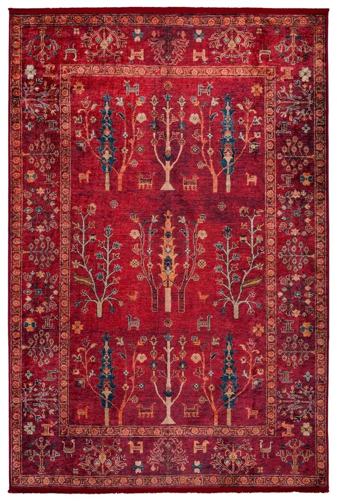 Χαλί Διαδρόμου (80x150) Βιοκαρπέτ Nomadian 5095/MLS