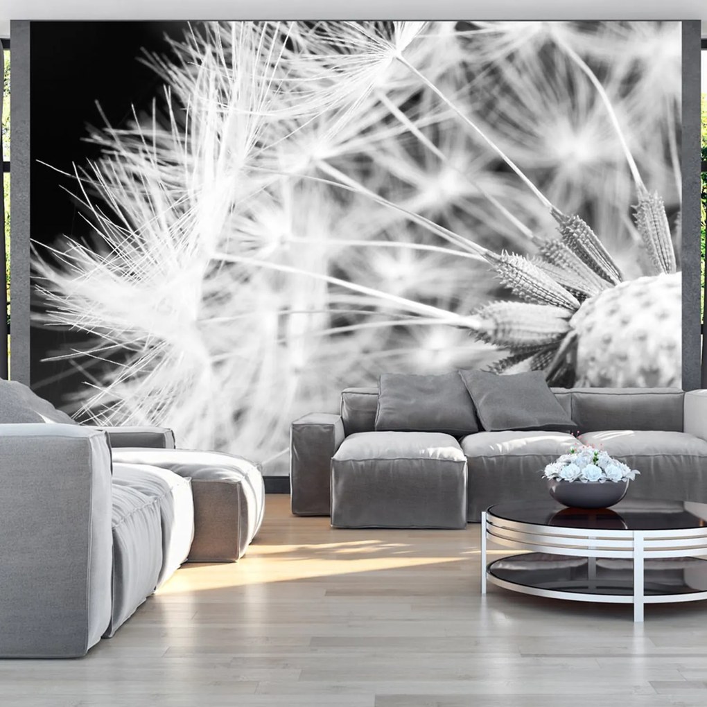 Φωτοταπετσαρία - Black and white dandelion 400x280