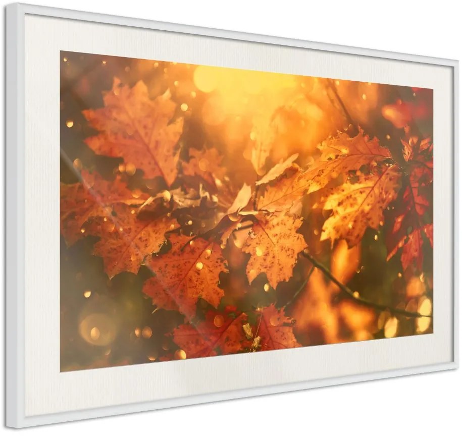 Αφίσα - Golden Autumn - 30x20 - Χρυσό - Χωρίς πασπαρτού