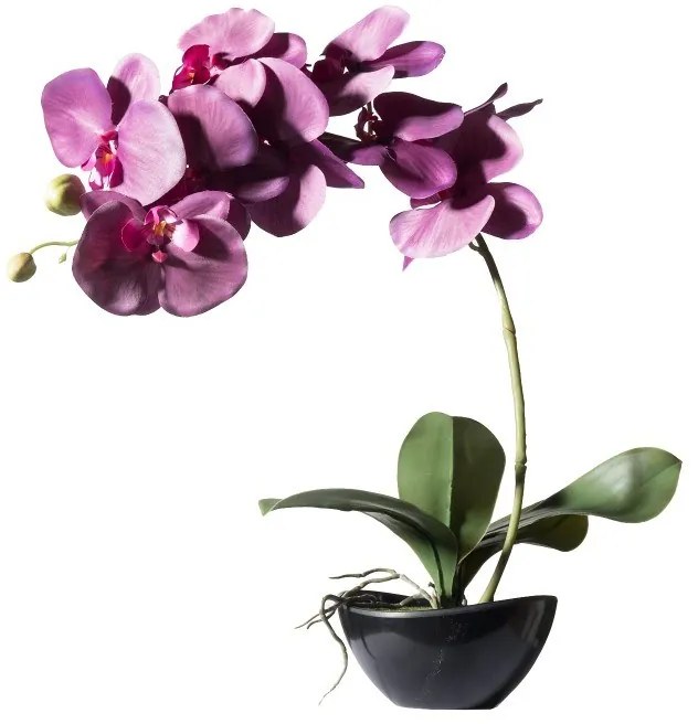Supergreens Τεχνητό Φυτό Ορχιδέα Phalaenopsis Real Touch Μωβ με Κασπώ 48 εκ.