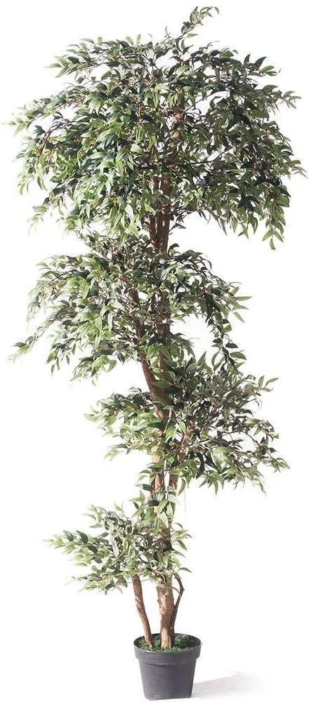 Τεχνητό Δέντρο Ρούσκος 9680-6 195cm Green Supergreens Polyethylene