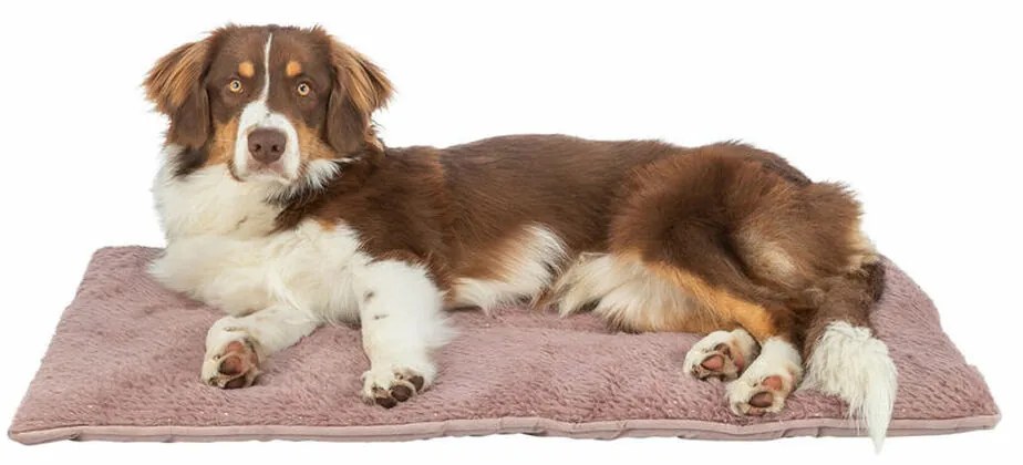 Κρεβάτιγια Σκύλους Trixie Livia Soft Ροζ 90 x 60 cm