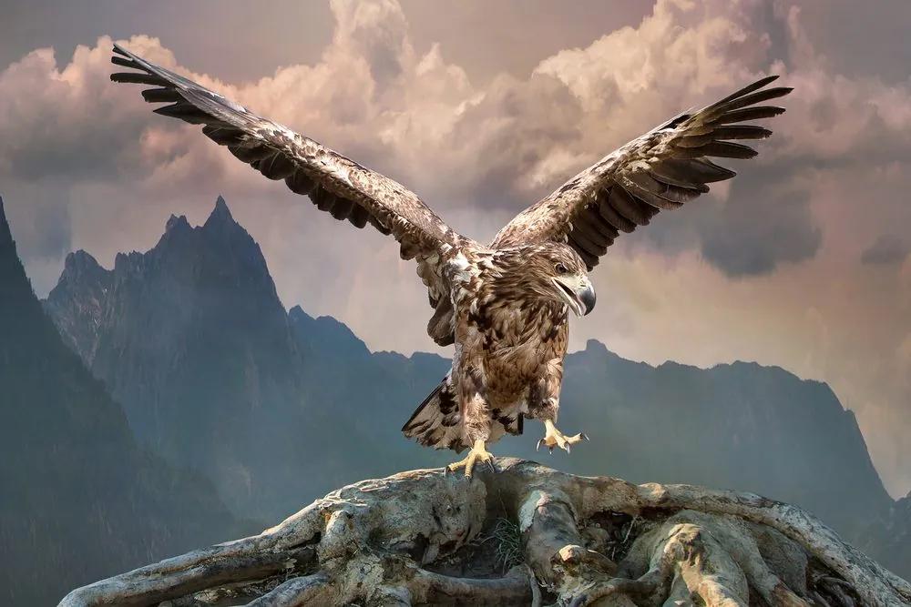 Εικόνα αετού με απλωμένα φτερά πάνω από τα βουνά - 90x60