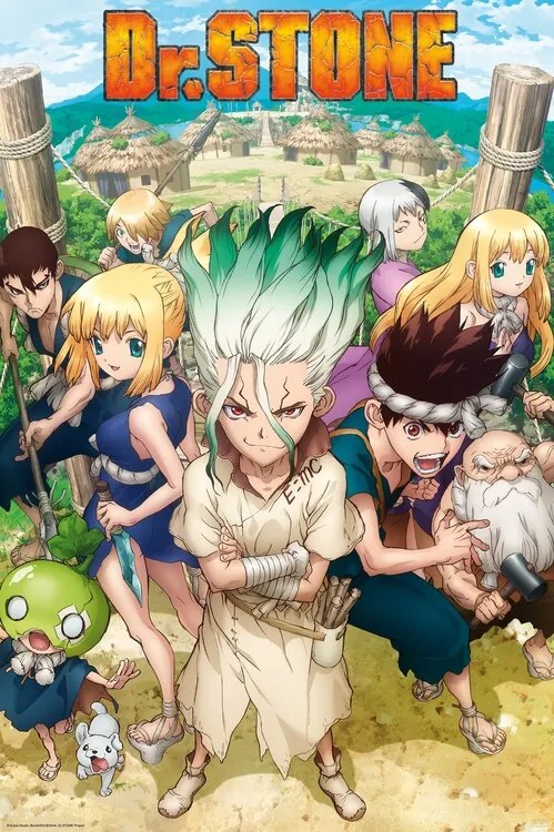 Αφίσα DR. Stone - Group