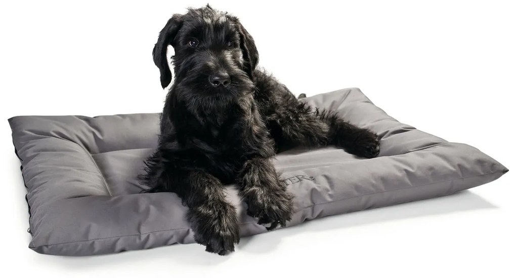 Κρεβάτιγια Σκύλους Hunter Γκρι 100 x 70 cm