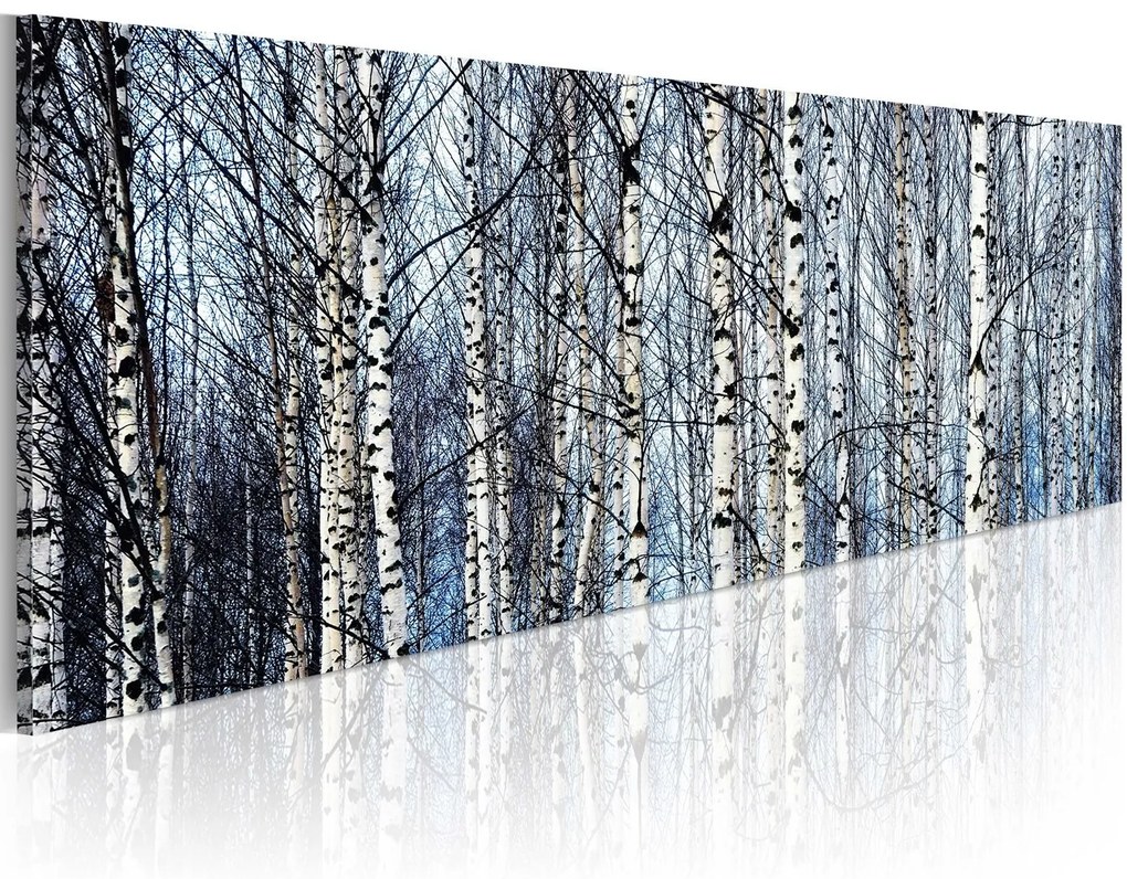 Πίνακας - White birches 120x40