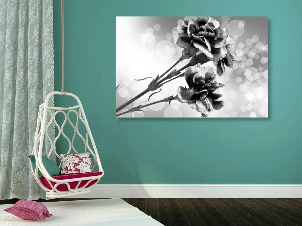 Εικόνα λουλουδιού γαρύφαλλου σε ασπρόμαυρο - 90x60