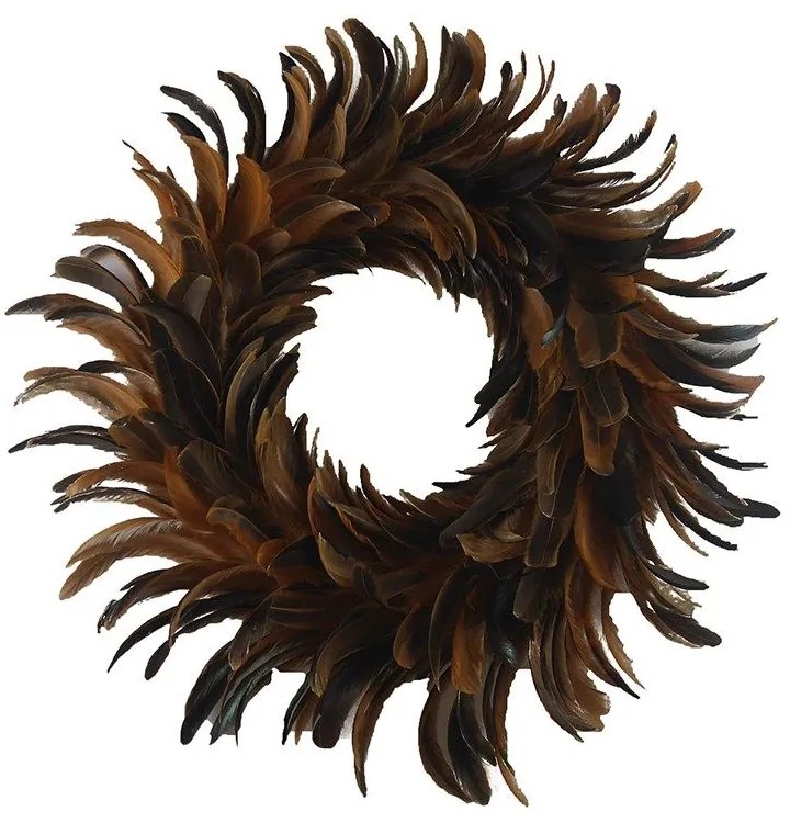 Διακοσμητικό Στεφάνι Τοίχου Με Φτερά Soil 015437 D55cm Brown Φτερό