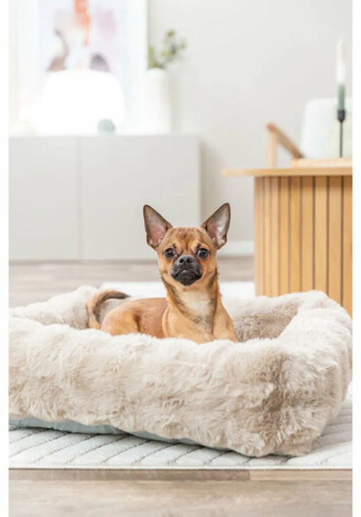 Κρεβάτιγια Σκύλους Trixie Άμμο 60 × 50 cm
