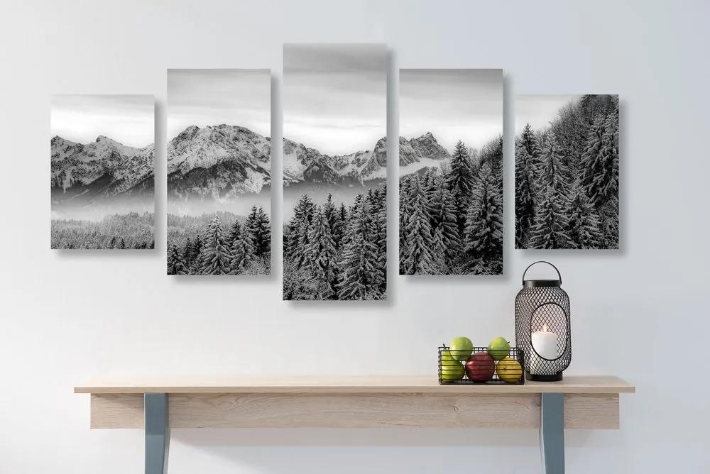 Εικόνα 5 τμημάτων παγωμένα βουνά σε μαύρο & άσπρο - 100x50