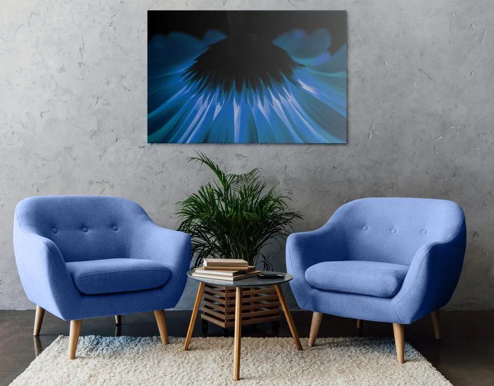 Εικόνα μιας μπλε ζέρμπερας σε σκούρο φόντο - 90x60