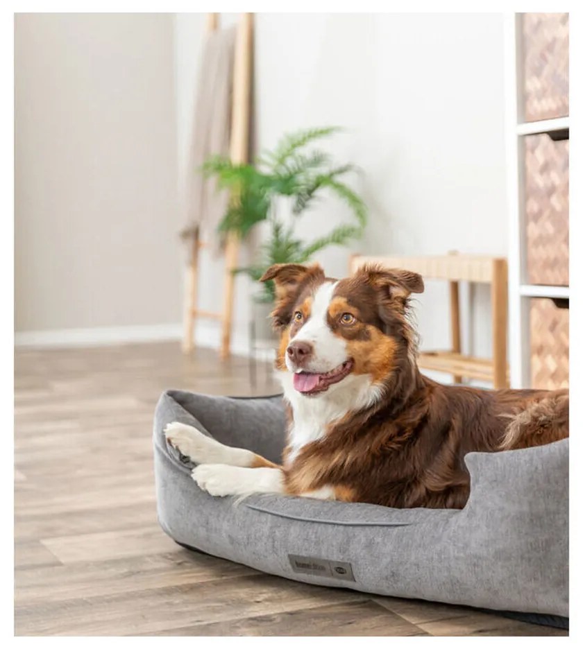 Κρεβάτιγια Σκύλους Trixie Vital Lennox Γκρι 80 x 60 cm