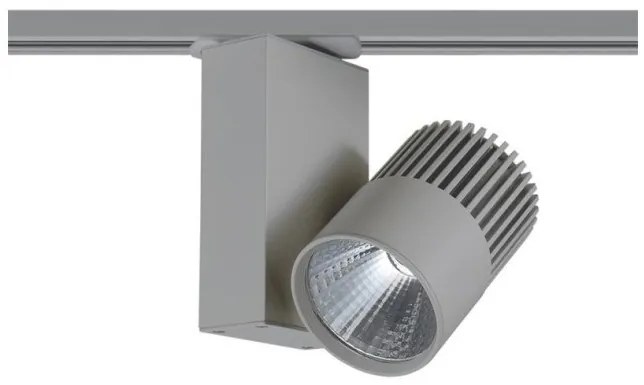 Σποτ Ράγας LED 15W Μονοφασικό Γκρι 4000Κ 1150Lm H20cm BIENAL1540G2 ACA-BIENAL1540G2-Γκρι BIENAL1540G2