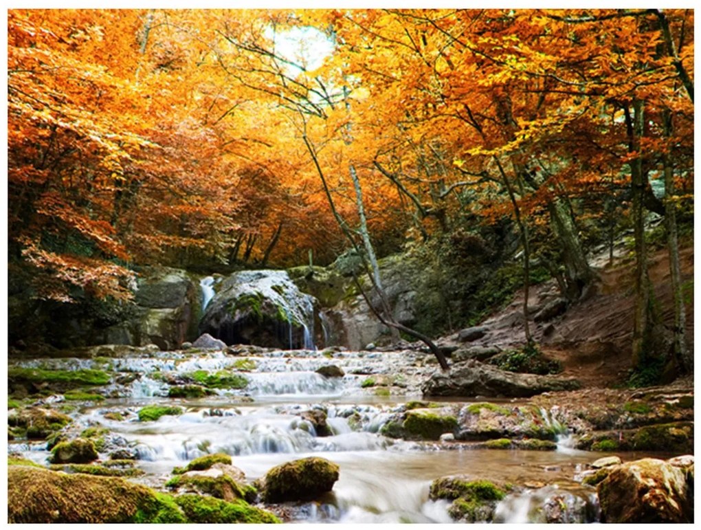 Φωτοταπετσαρία - autumn - waterfall 400x309