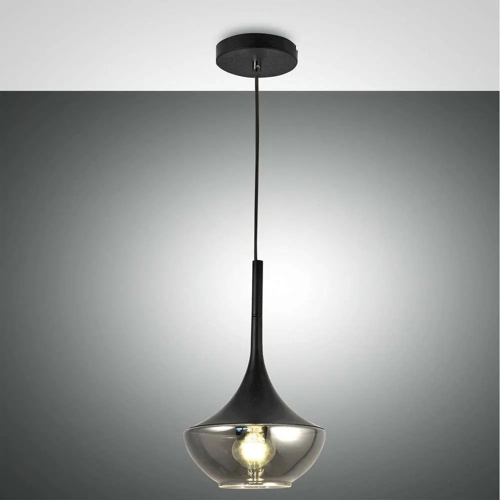 Φωτιστικό Οροφής Apollo 3623-41-101 Black Fabas Luce Μέταλλο,Γυαλί