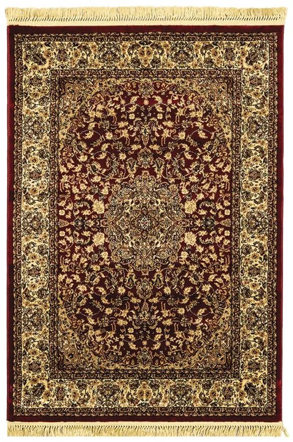 ΧΑΛΙ PERSIA 5649 BURGUNDY ΜΕ ΚΡΟΣΣΙ - 080X150  NewPlan - 5-79-PRS-13345_5649B-080X150