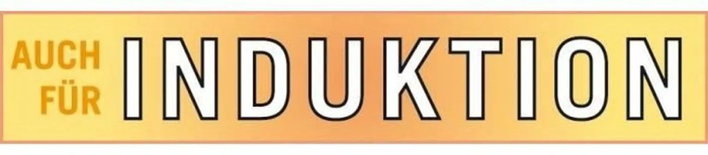 Κατσαρόλα με Καπάκι GSW Γκρι Χυτοσίδηρος