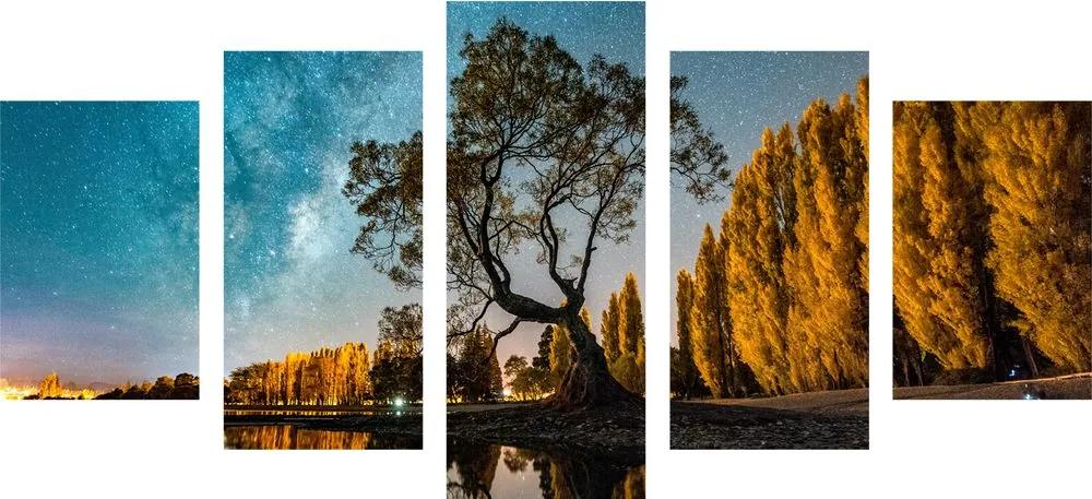 5 μέρη εικόνα δέντρο κάτω από τον έναστρο ουρανό