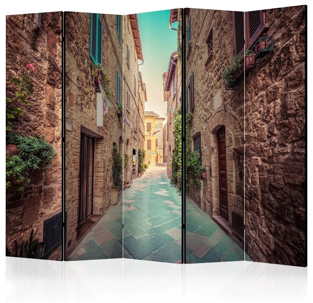 Διαχωριστικό με 5 τμήματα - Magic Tuscany II [Room Dividers] 225x172