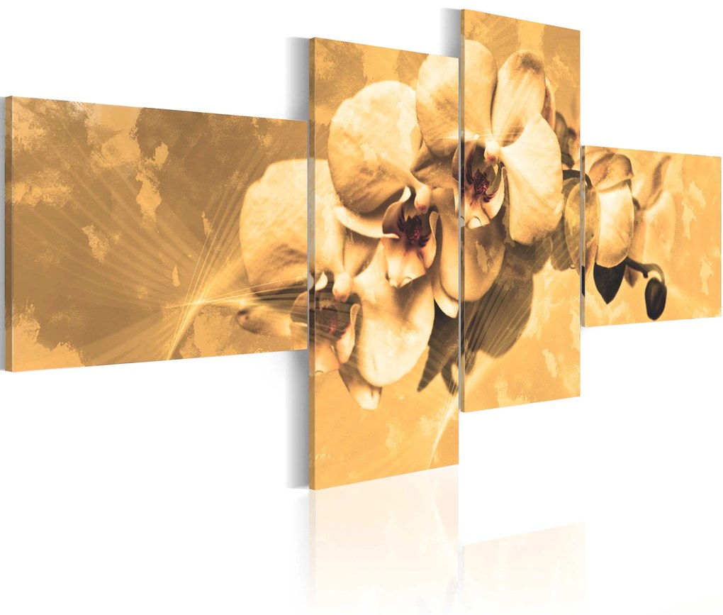 Πίνακας - Orchids in sepia - 200x90