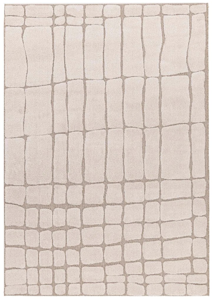 Χαλί Desert 40405 651 Royal Carpet - 120 x 170 cm