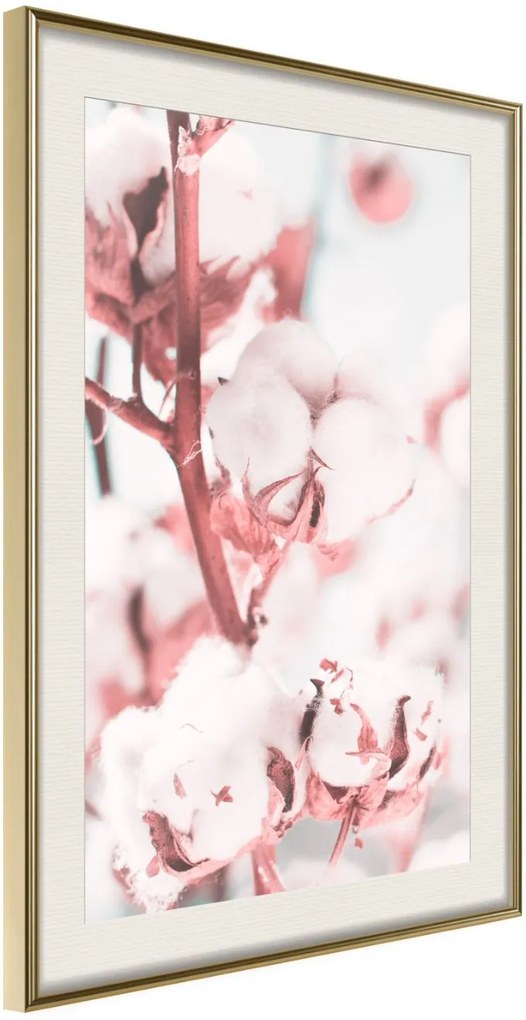 Αφίσα - Cotton Flowers - 40x60 - Χρυσό - Με πασπαρτού