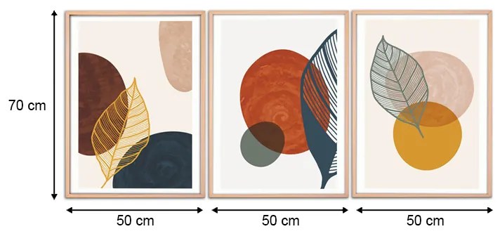 ΠΙΝΑΚΑΣ "CIRCLES" MEGAPAP 3 ΤΜΧ. ΣΕ ΞΥΛΙΝΗ ΚΟΡΝΙΖΑ 50X70X2,5ΕΚ.