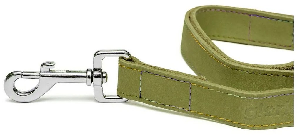 Λουρί Σκύλου Gloria Oasis 2.1 x 100 cm Πράσινο