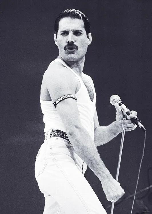 Αφίσα Freddie Mercury - Live Aid, (59.4 x 84.1 cm)