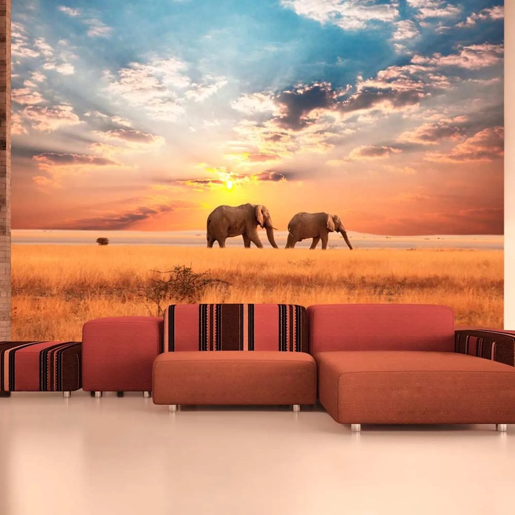 Φωτοταπετσαρία - African savanna elephants 350x270