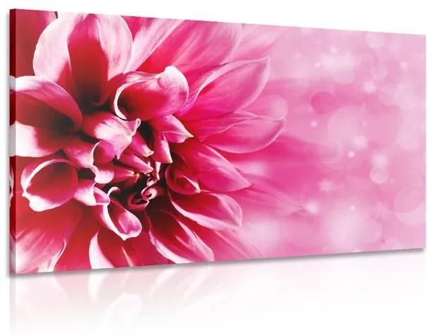 Εικόνα ροζ λουλούδι - 60x40