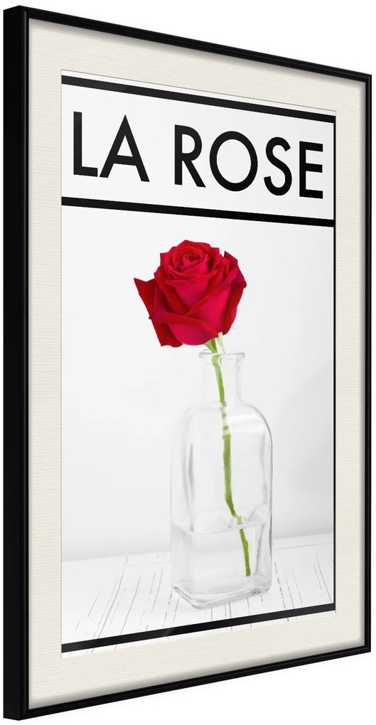 Αφίσα - Rose in the Vase - 20x30 - Μαύρο - Με πασπαρτού