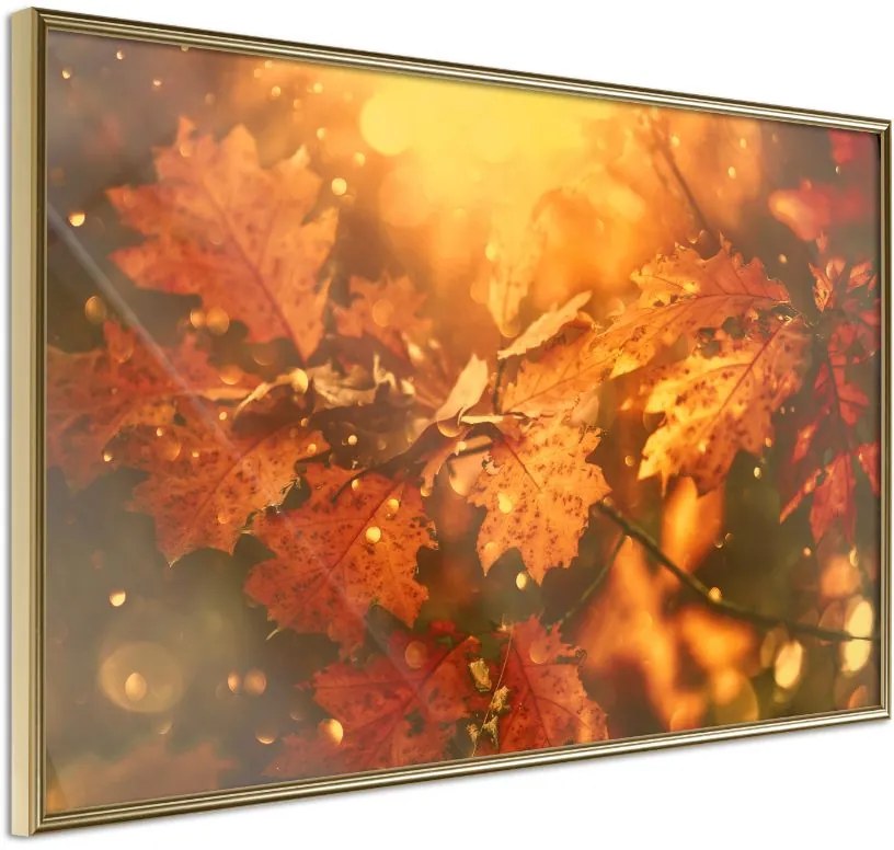 Αφίσα - Golden Autumn - 30x20 - Χρυσό - Χωρίς πασπαρτού