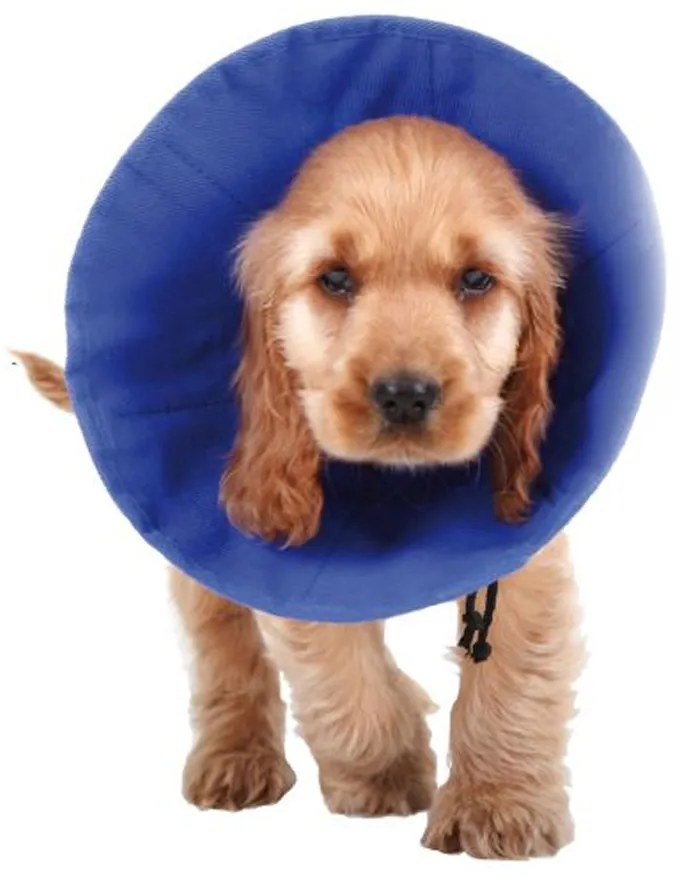 Ελισαβετιανό Κολάρο για Σκύλους KVP EZ Soft Μπλε (18-38 cm)