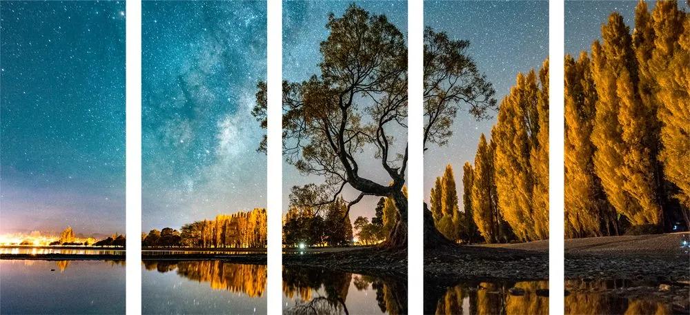 5 μέρη εικόνα δέντρο κάτω από τον έναστρο ουρανό - 200x100