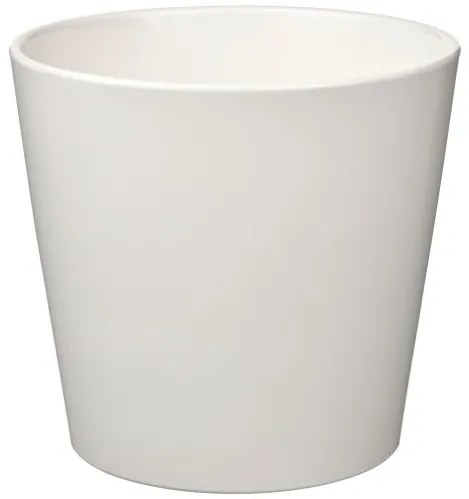 SOJABÖNA κασπό, 19 cm 505.335.76