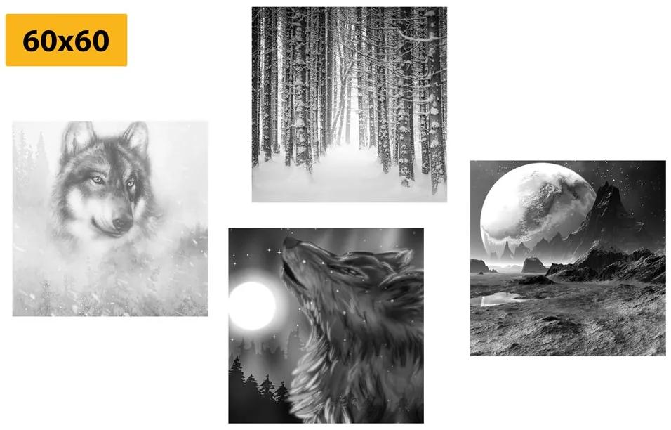 Σετ εικόνων μυστηριώδης λύκος σε μαύρο & άσπρο - 4x 60x60