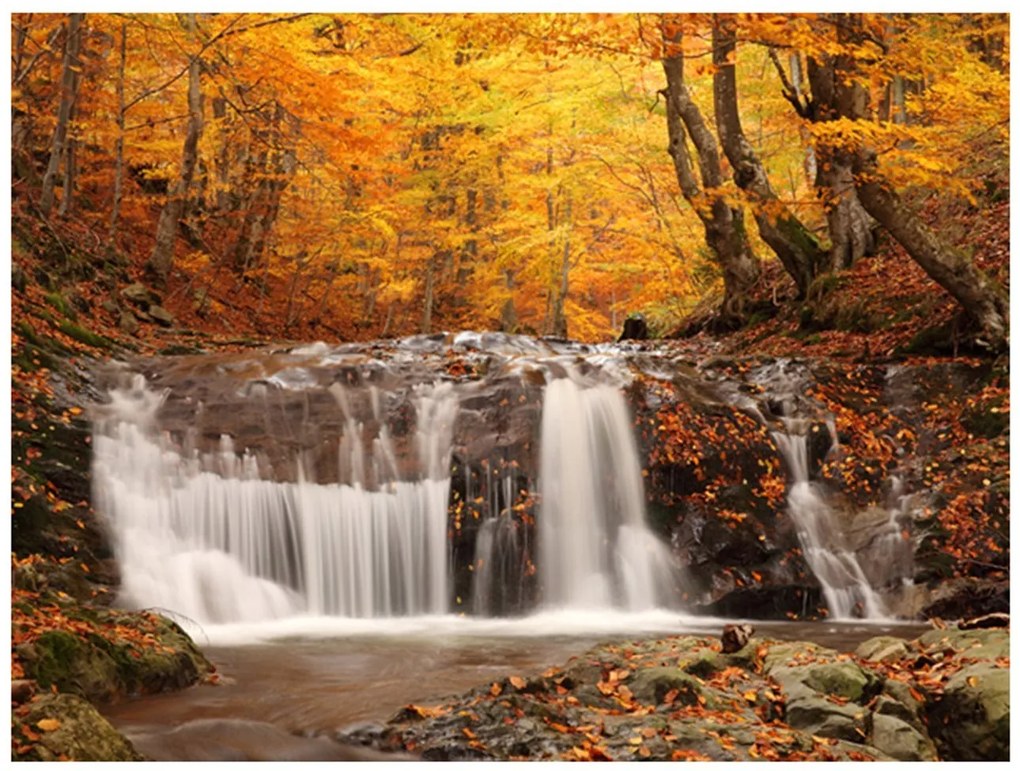 Φωτοταπετσαρία - Autumn landscape : waterfall in forest 350x270