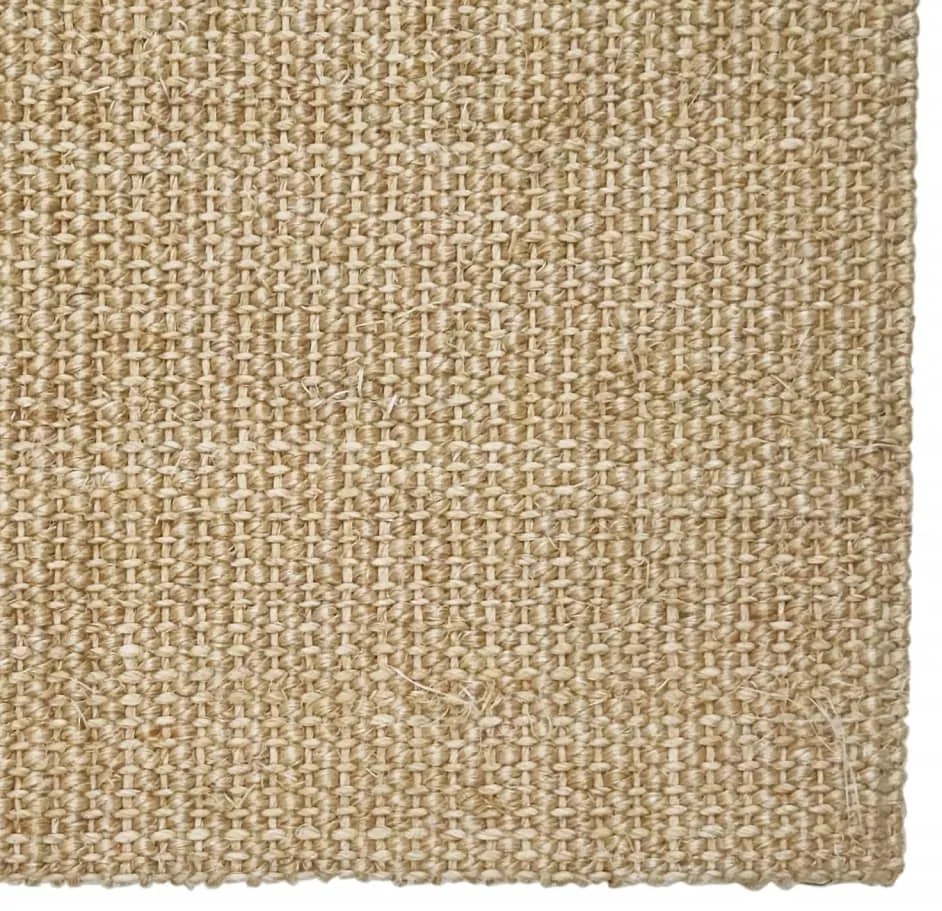 vidaXL Χαλί Σιζάλ για Ονυχοδρόμιο 80x350 εκ.