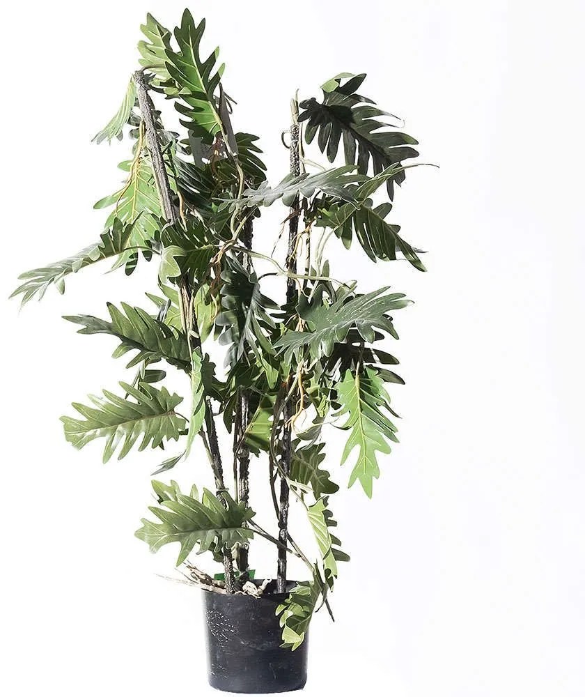 Τεχνητό Φυτό Φιλόδεντρο Xanadu 5161-7 30x75cm Green Supergreens Polyethylene