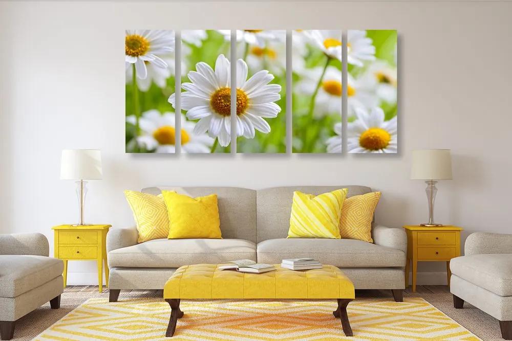 Εικόνα 5 μερών ανοιξιάτικο λιβάδι γεμάτο λουλούδια - 100x50