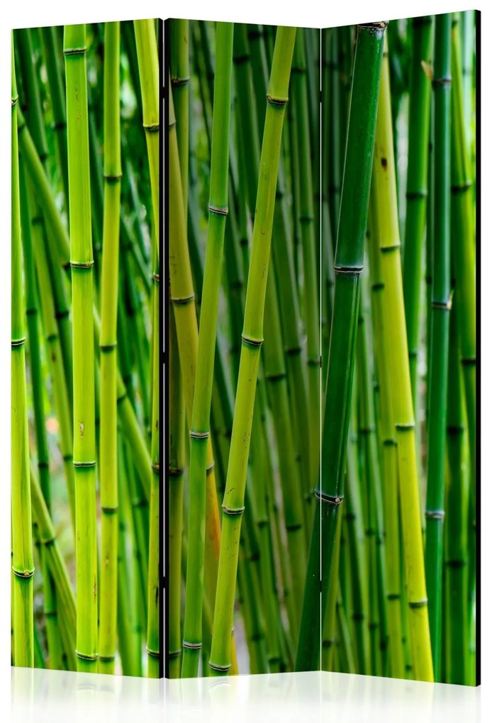 Διαχωριστικό με 3 τμήματα - Bamboo Forest [Room Dividers] 135x172