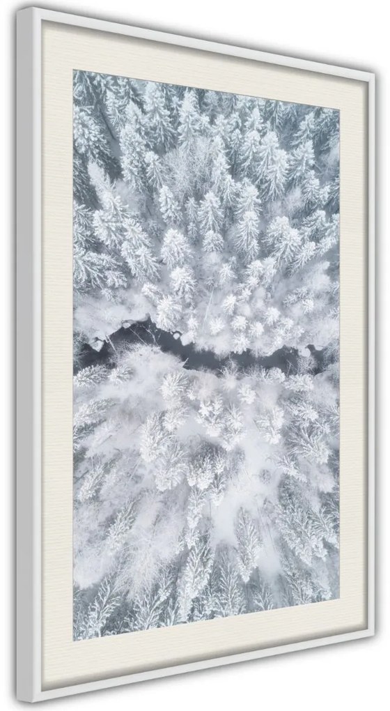 Αφίσα - Winter Forest From a Bird's Eye View - 20x30 - Χρυσό - Με πασπαρτού