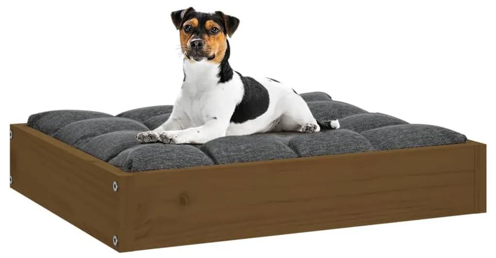 Κρεβάτι Σκύλου Μελί 51,5 x 44 x 9 εκ. από Μασίφ Ξύλο Πεύκου - Καφέ