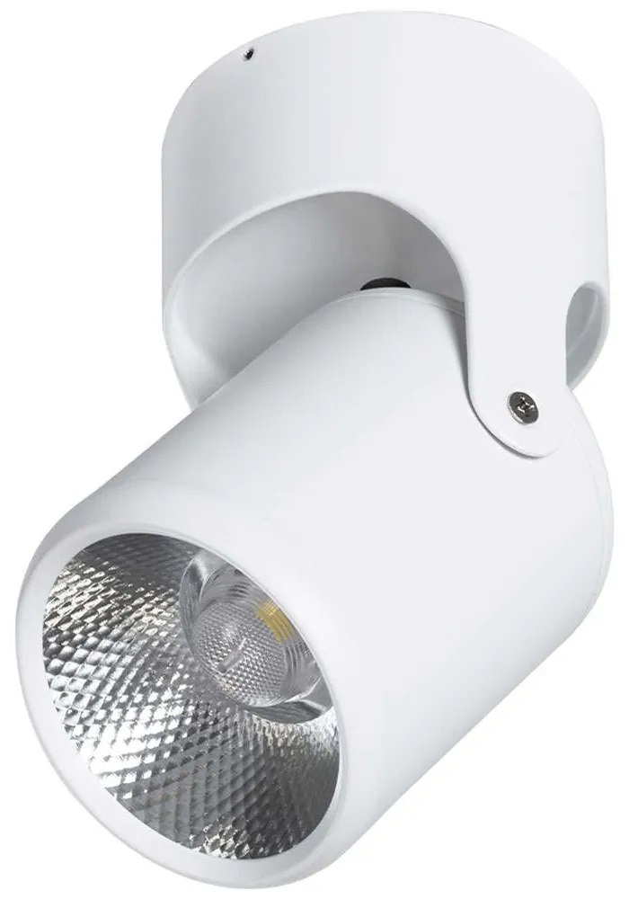 Φωτιστικό Οροφής - Σποτ Detronic 60501 Φ9x16cm Led 1300lm 10W 4500K White GloboStar